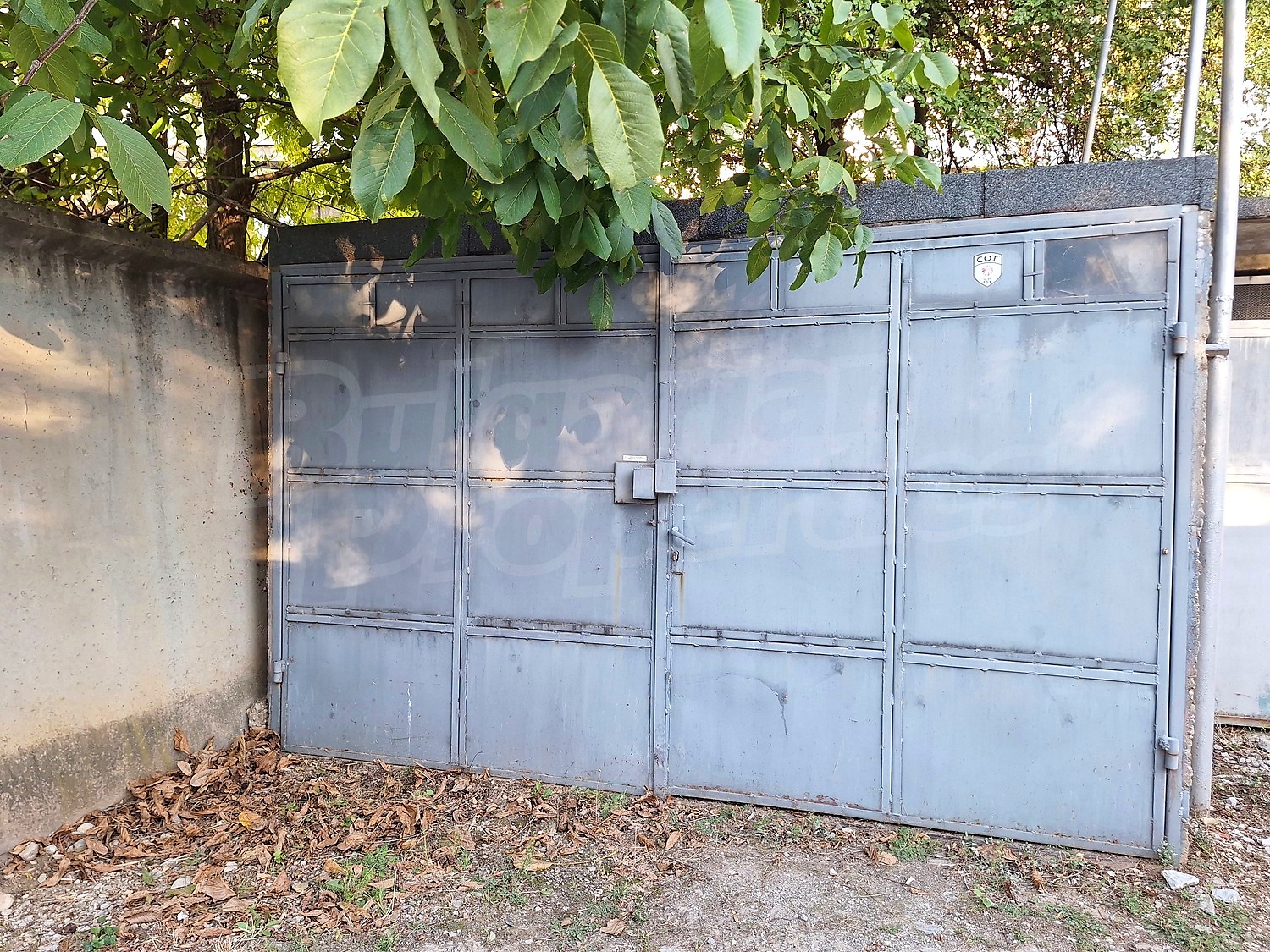 outside, garden