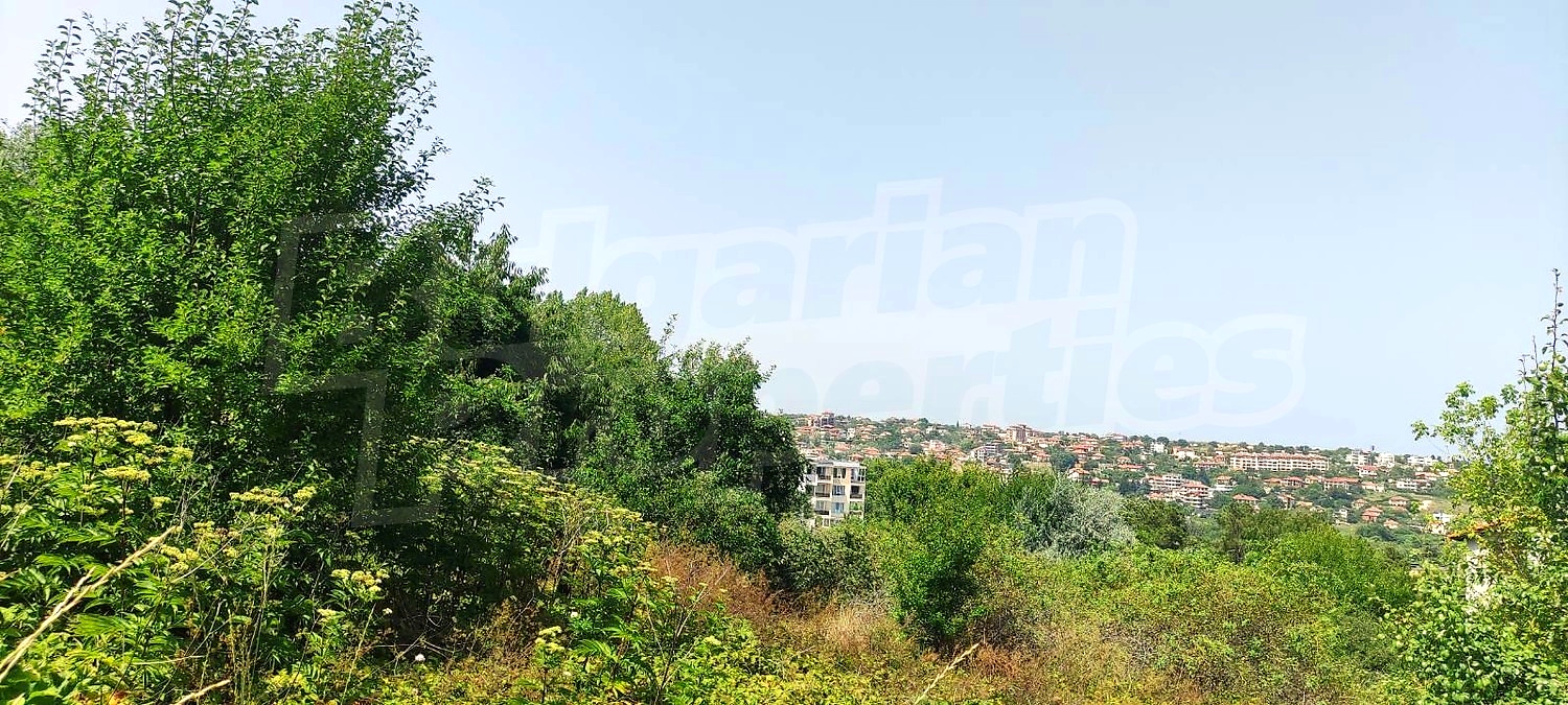 outside, green area, view from balcony