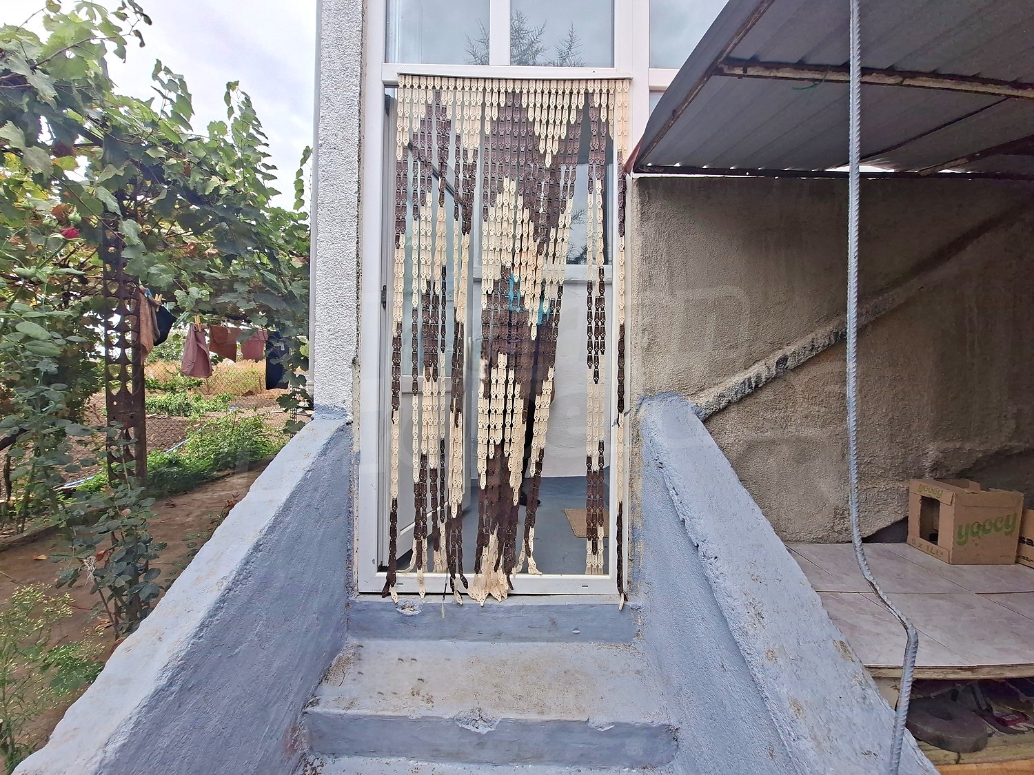 outside, garden