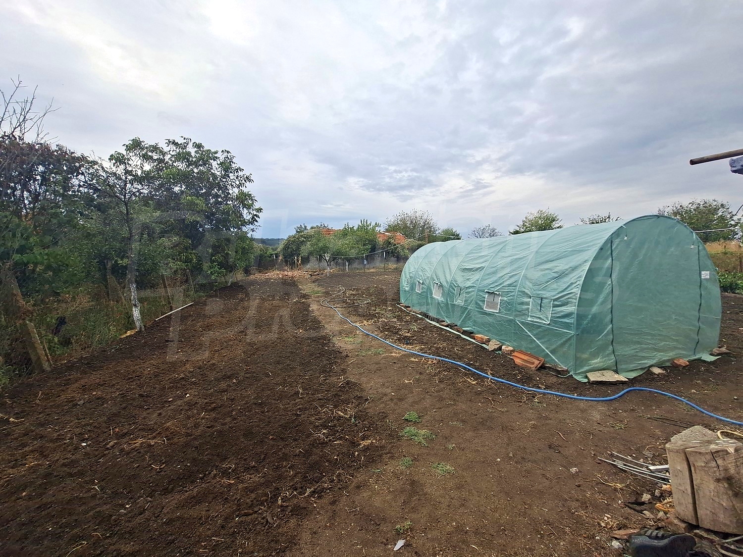 outside, garden, green area
