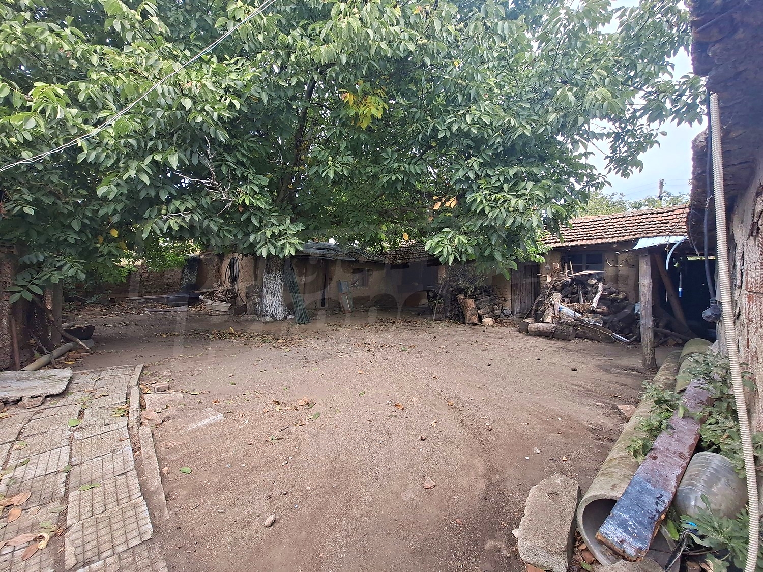 outside, garden