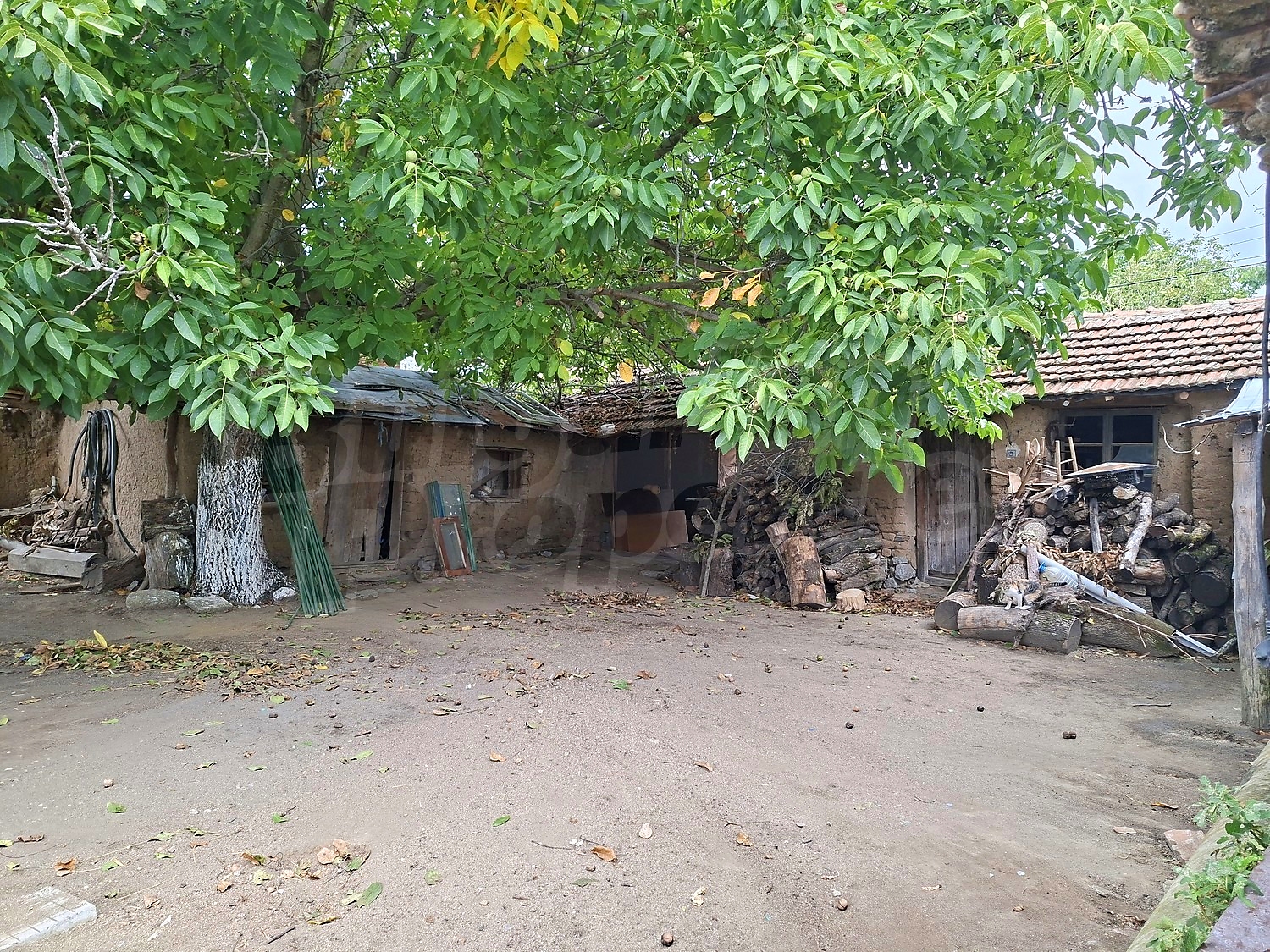 outside, garden