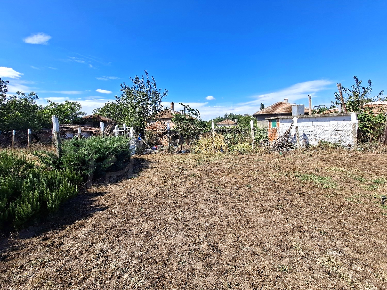 outside, garden