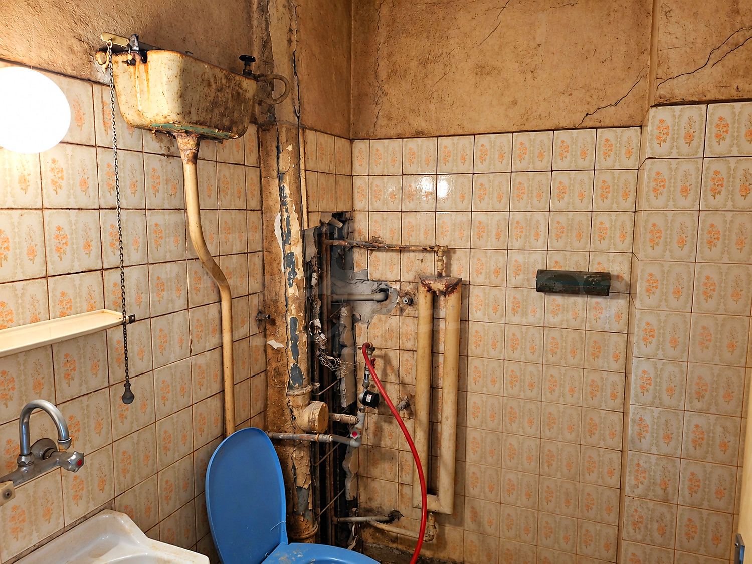 bathroom, toilet