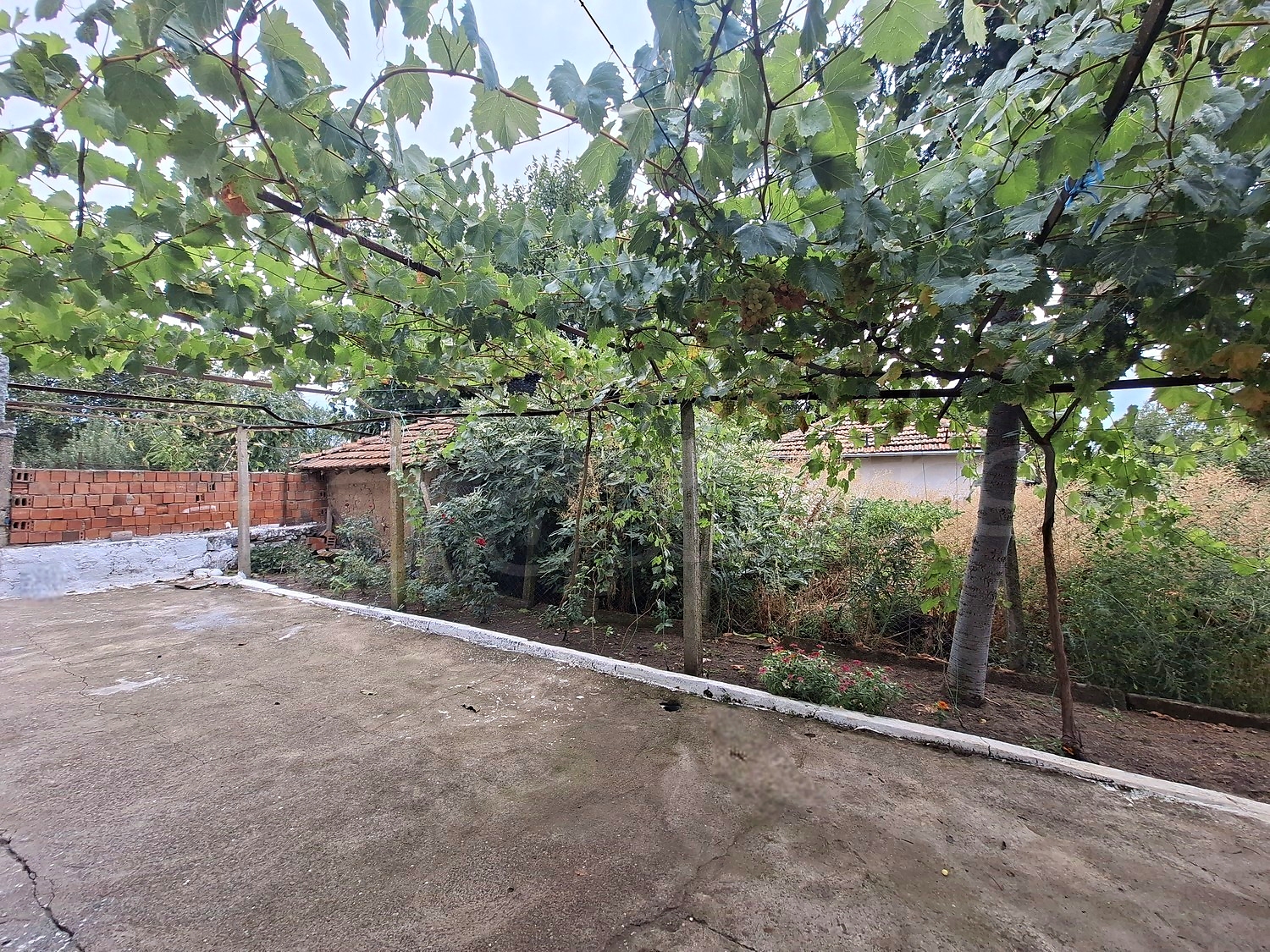 outside, garden