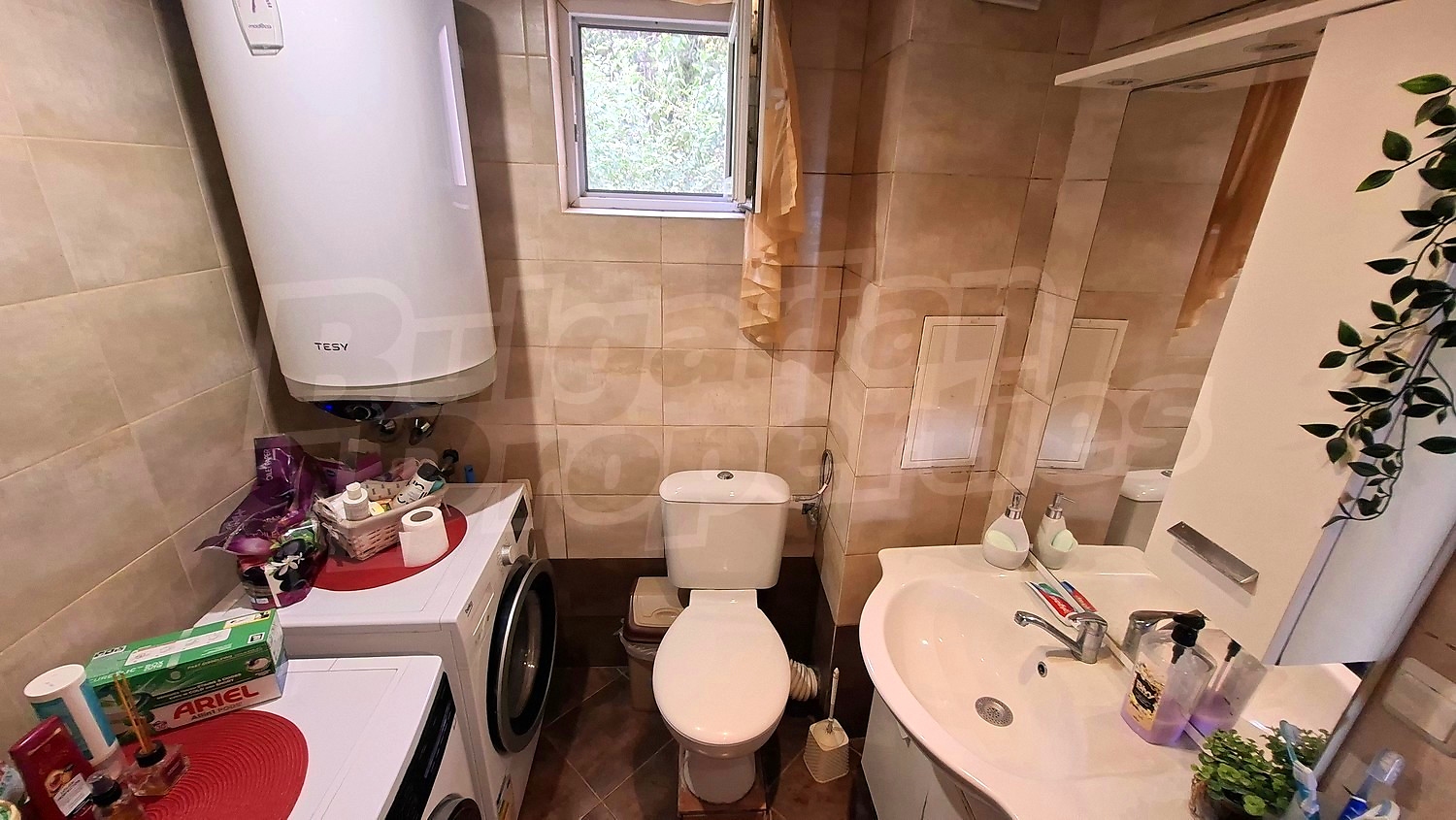 inside, bathroom, toilet