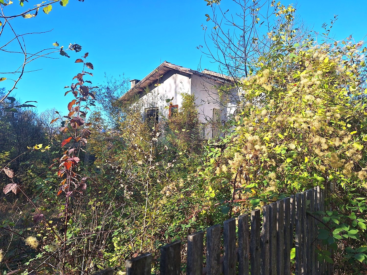 outside, facade, garden