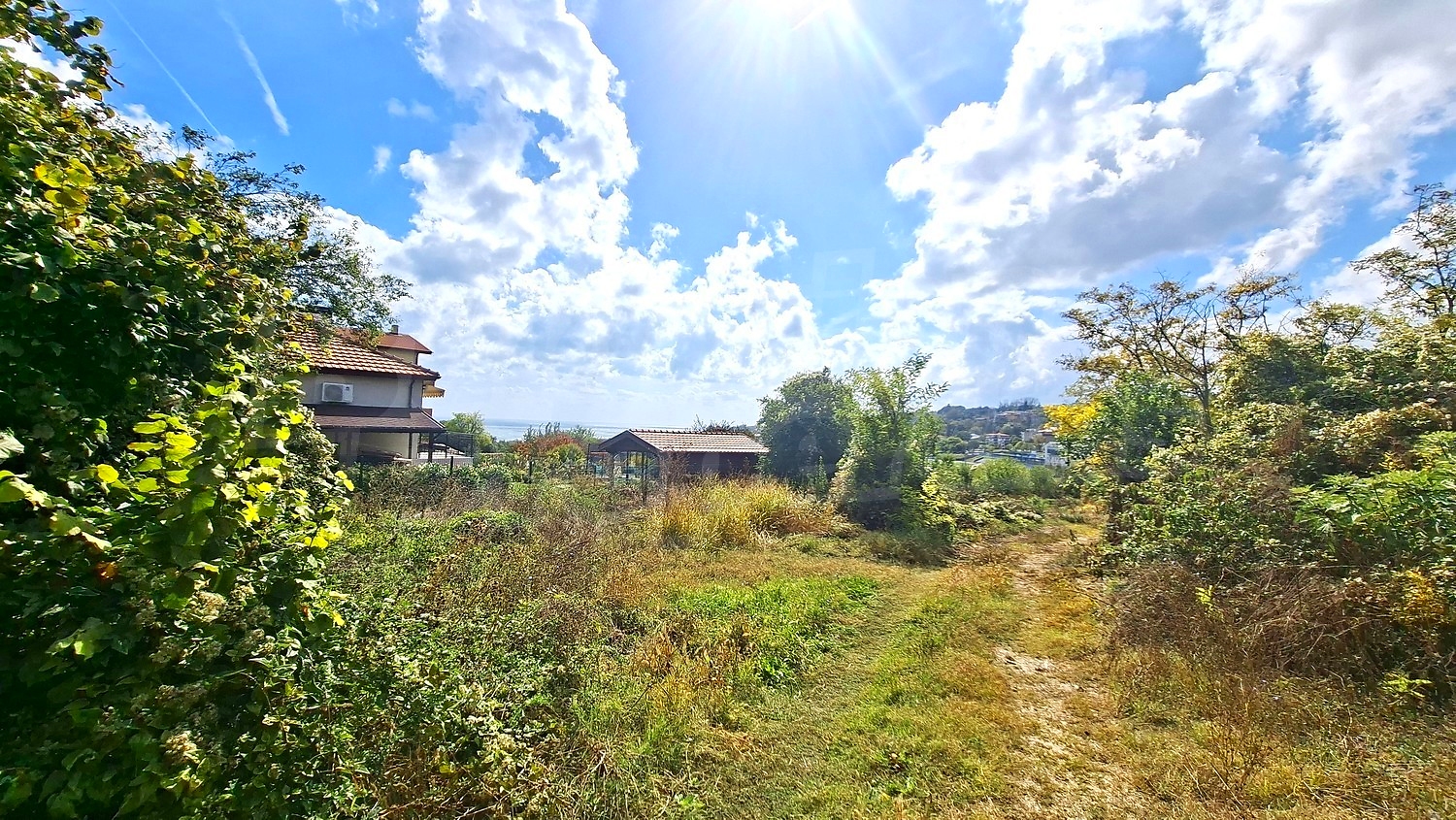outside, garden, green area