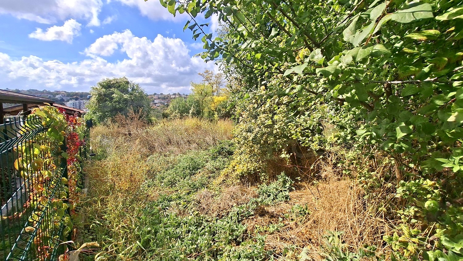 outside, garden, green area