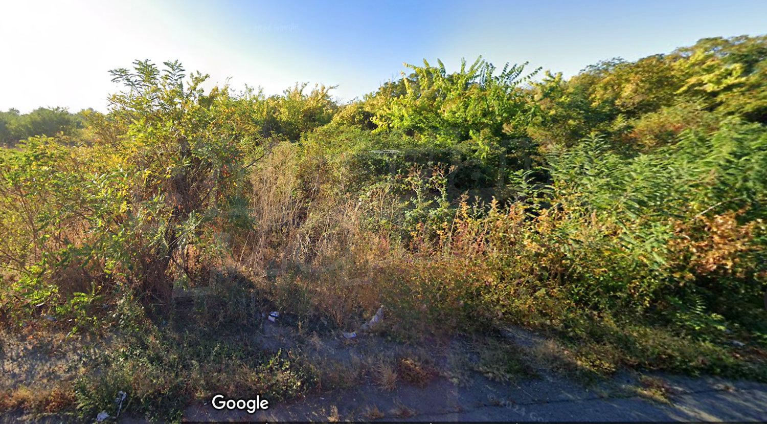 outside, green area