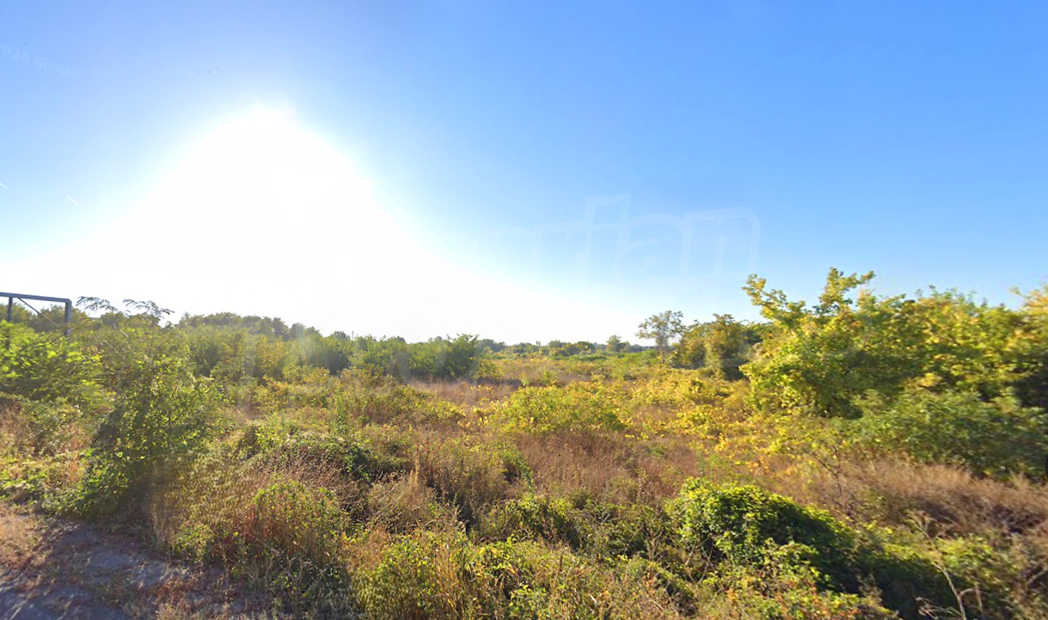 outside, green area