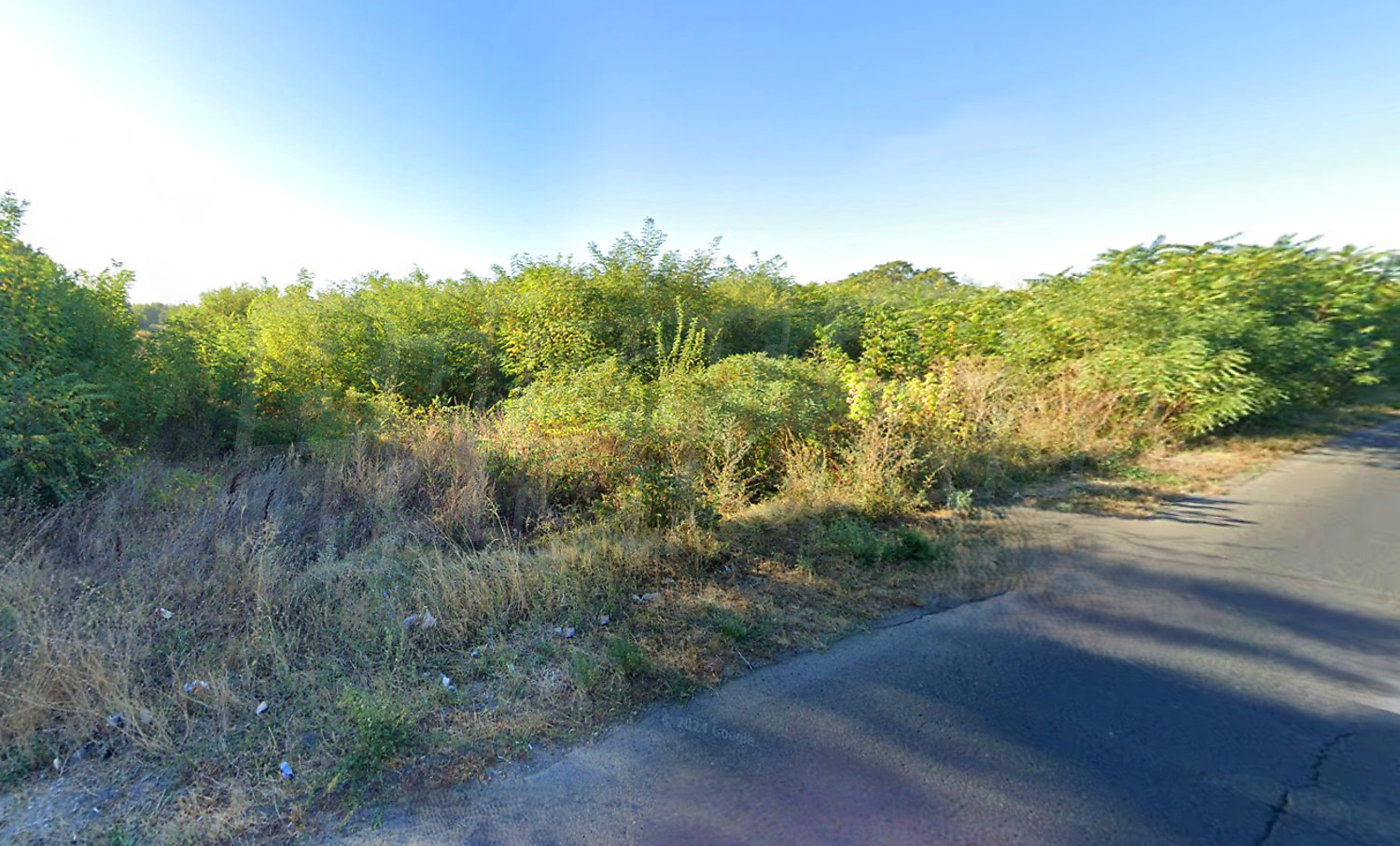 outside, green area