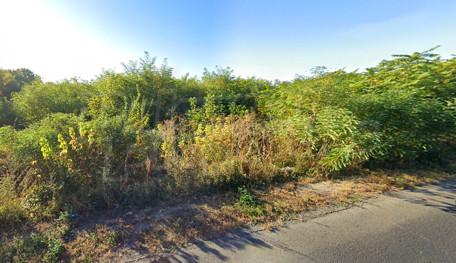 outside, green area