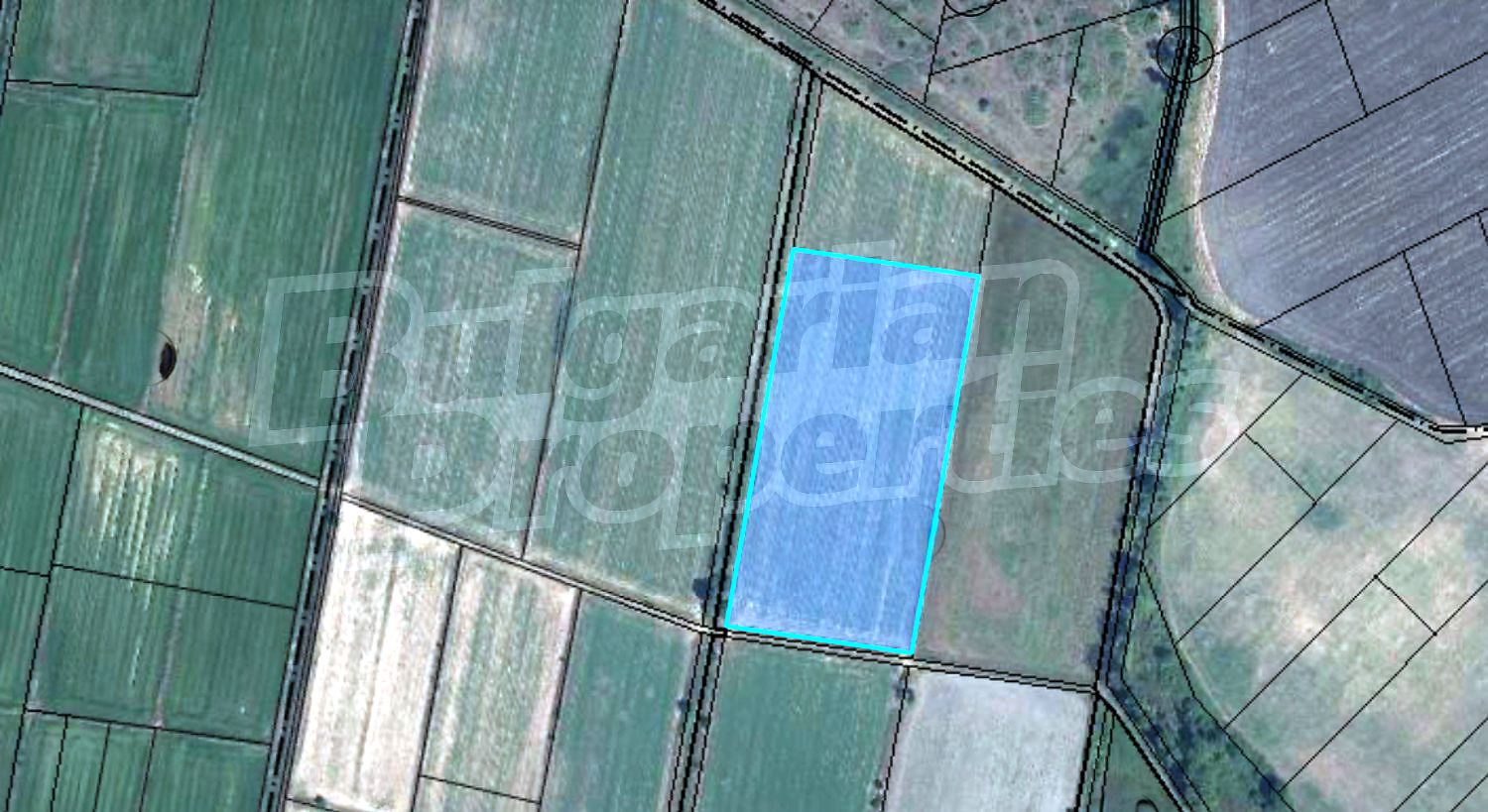 outside, green area