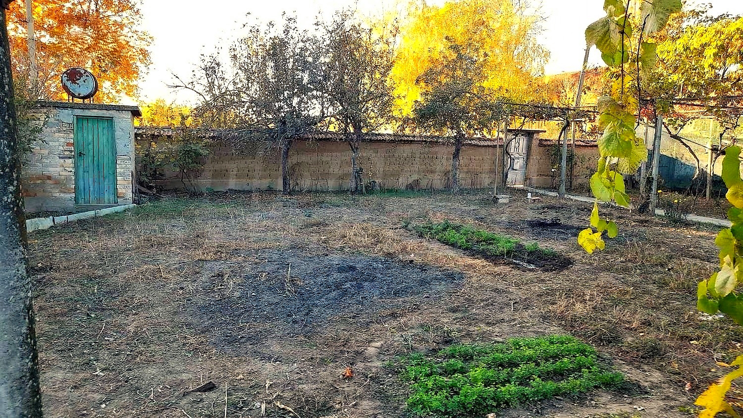 outside, garden