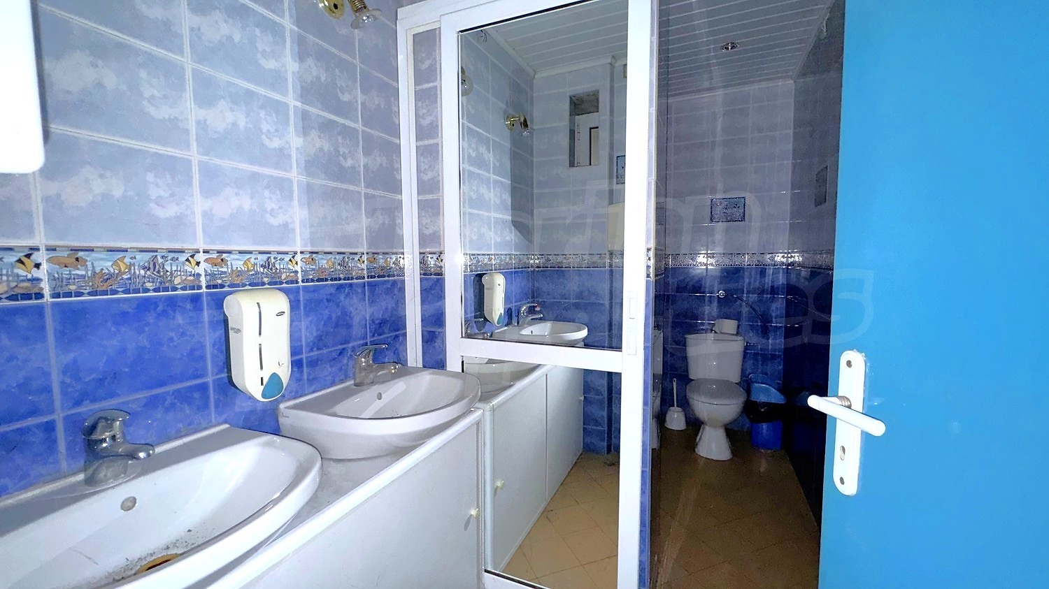 bathroom, toilet
