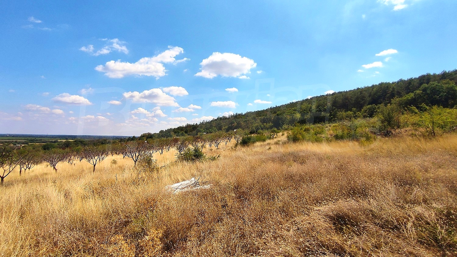 outside, mountain, green area