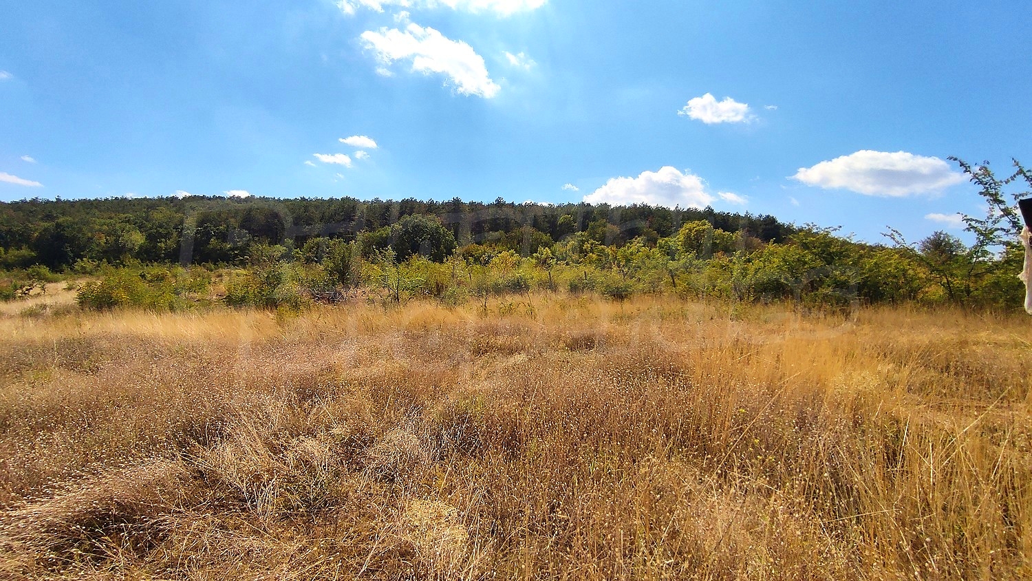outside, green area, mountain