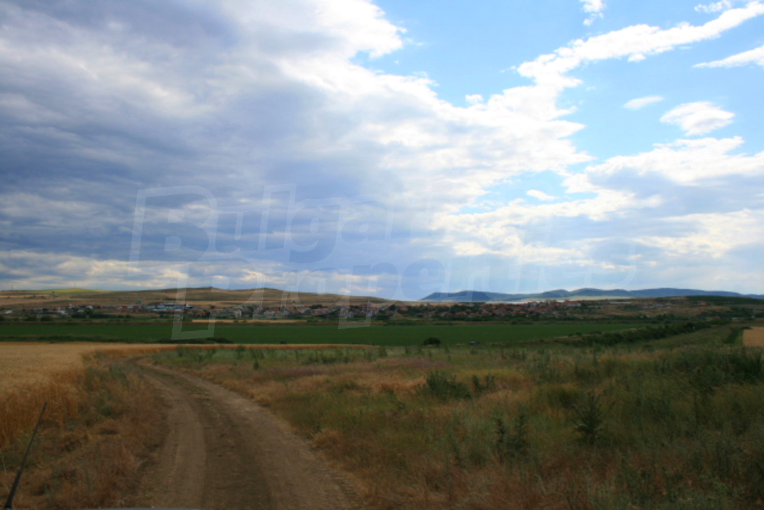 outside, green area