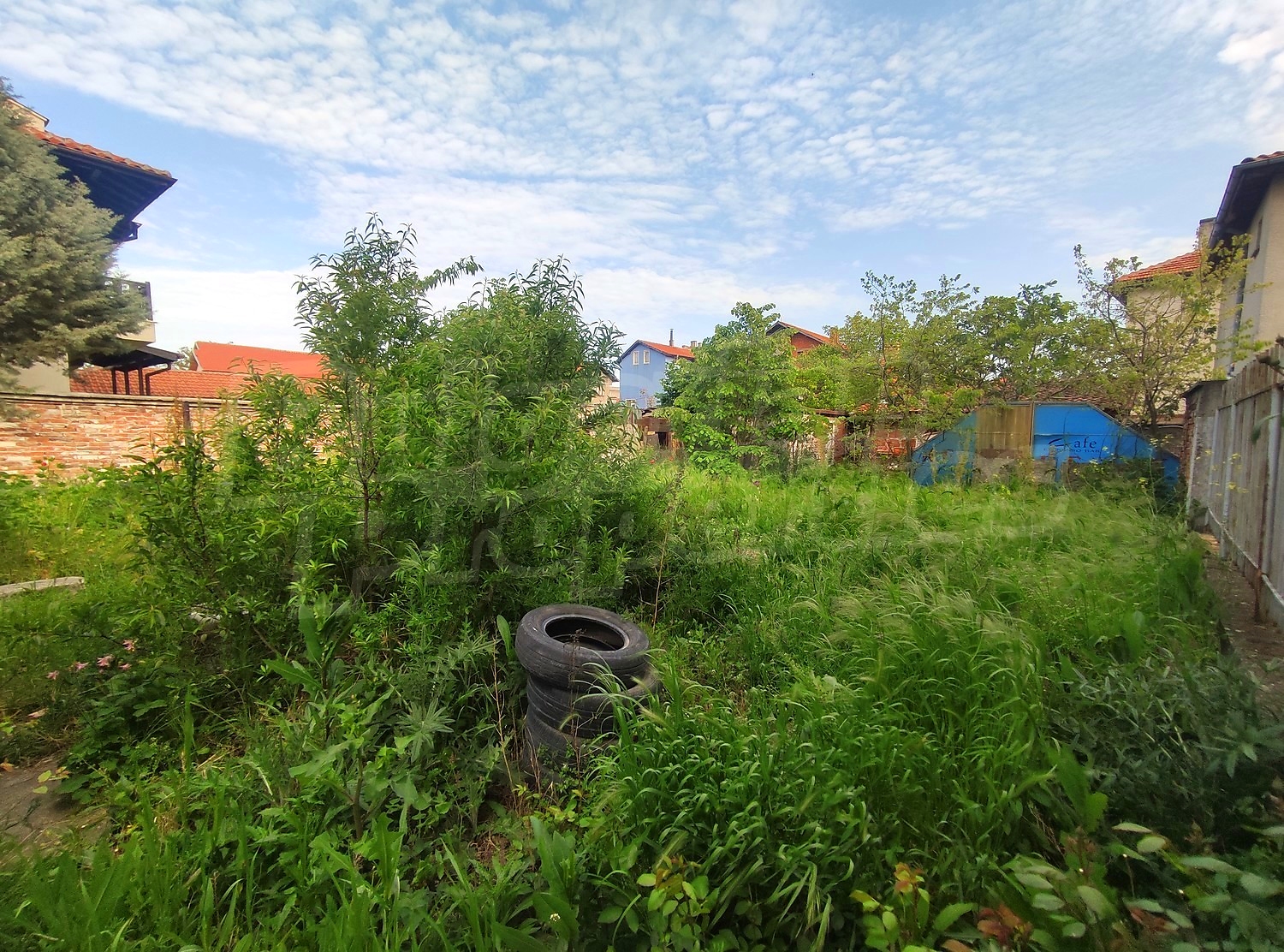 outside, garden