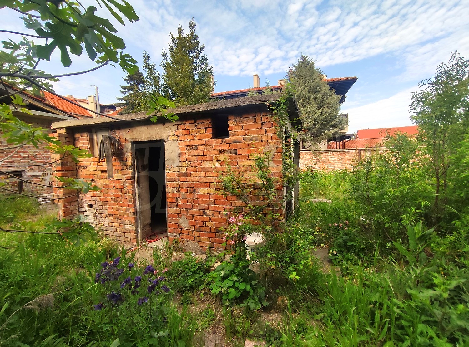 outside, facade, garden, green area