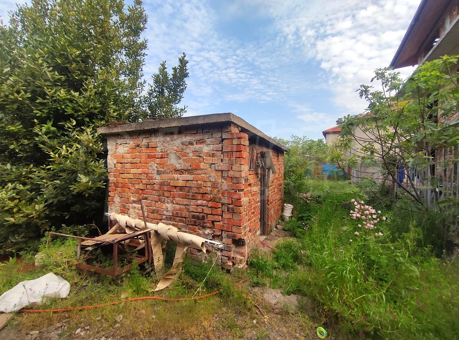 outside, garden, green area