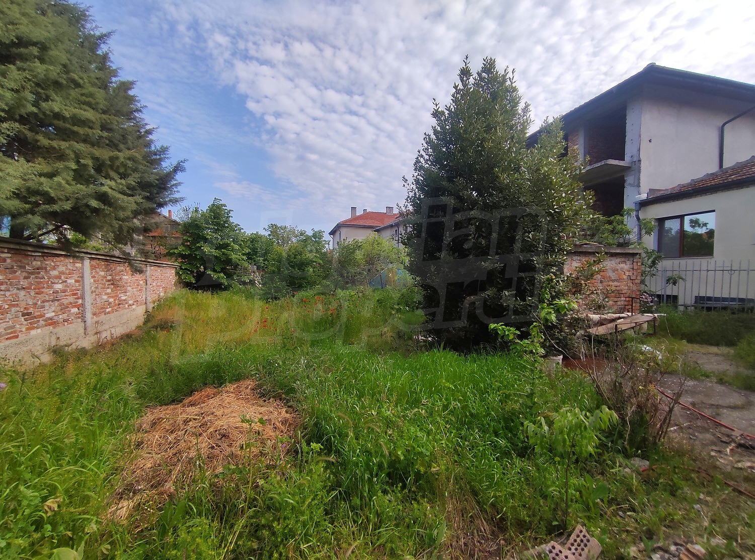 outside, garden