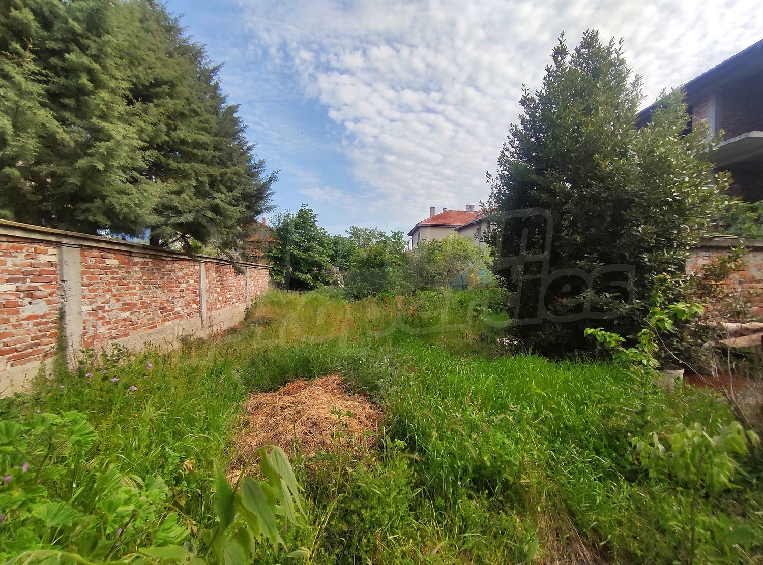 outside, garden, green area