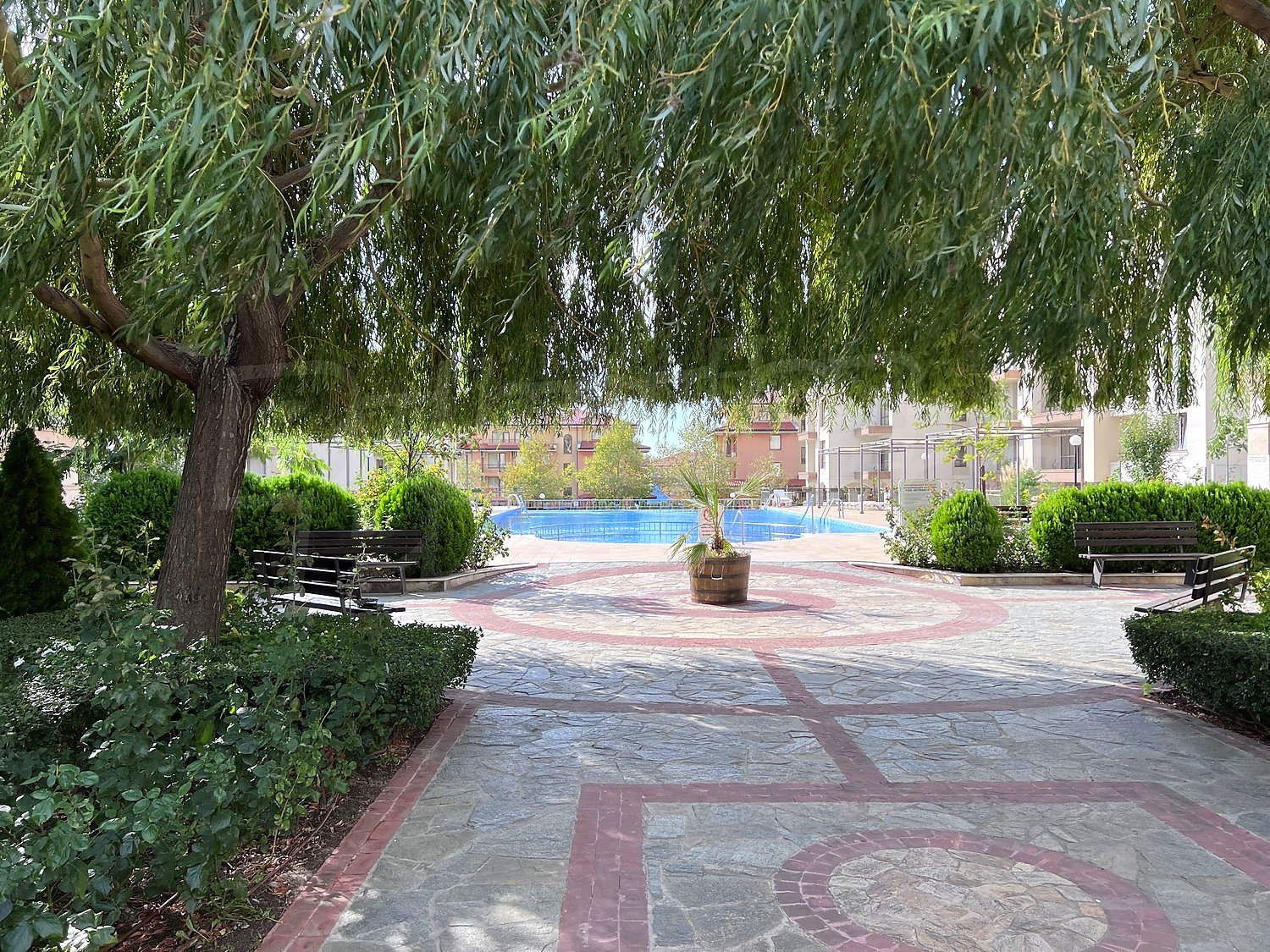 outside, garden, pool