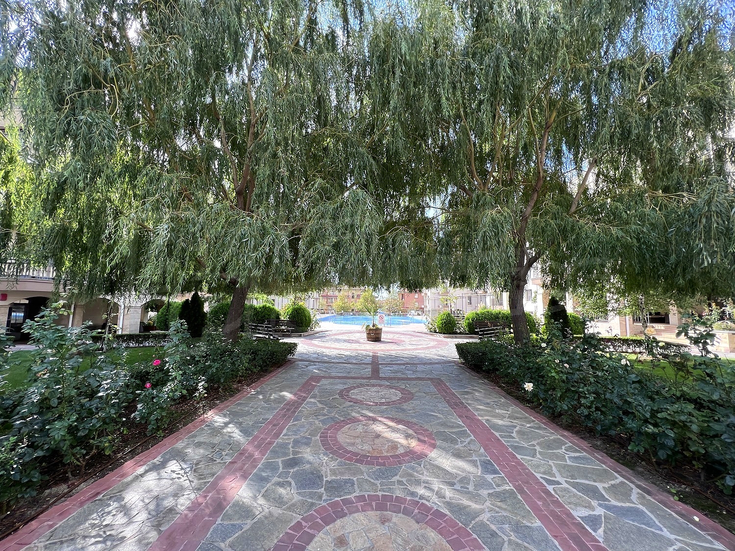 outside, garden, pool