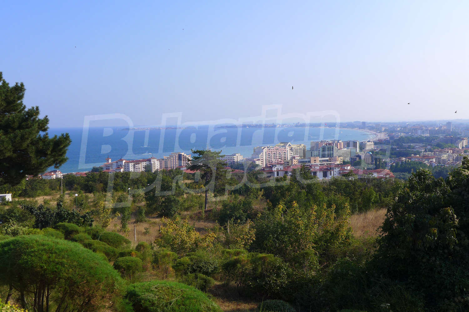 outside, sea, view from balcony, green area