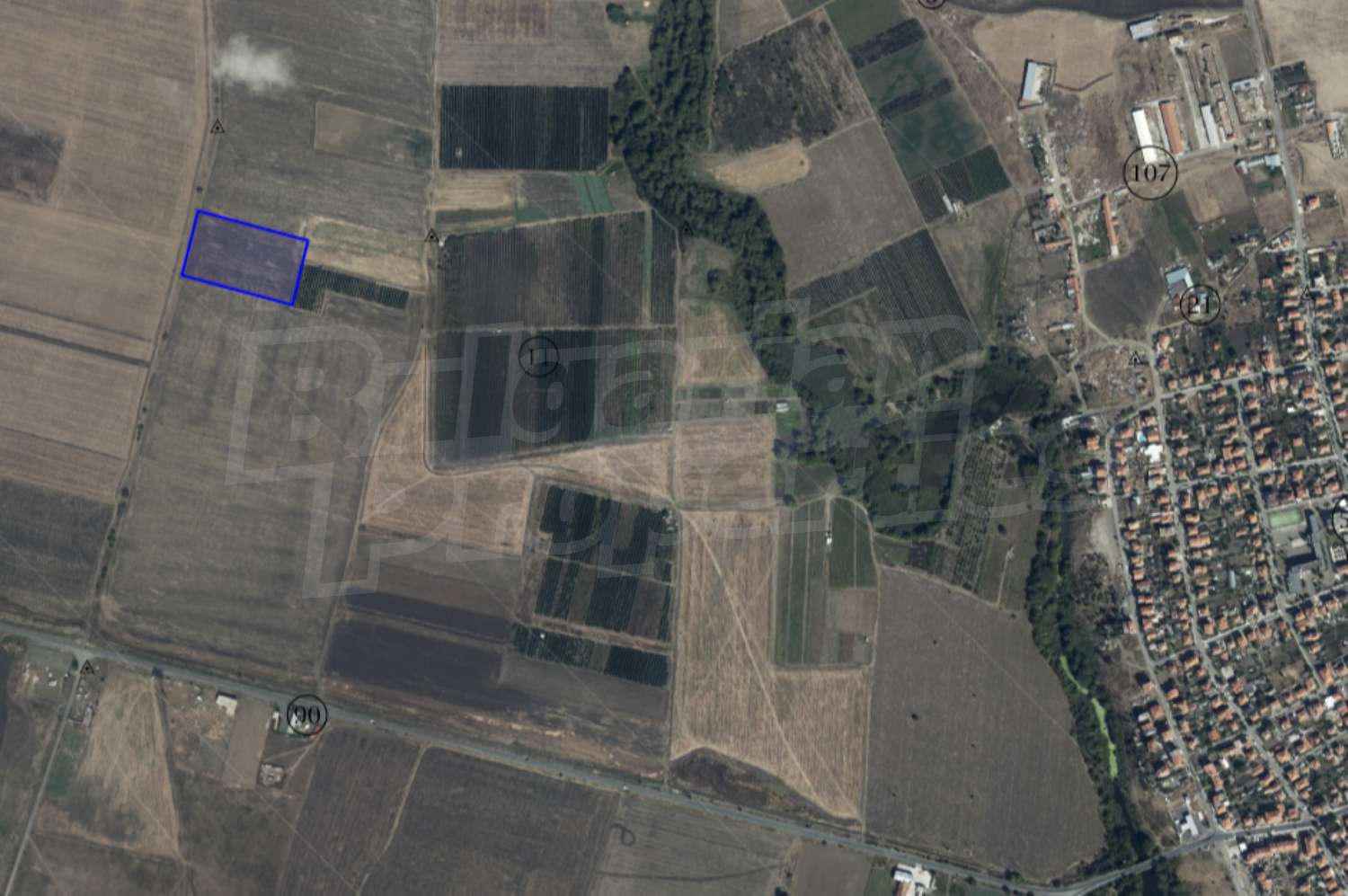 outside, green area