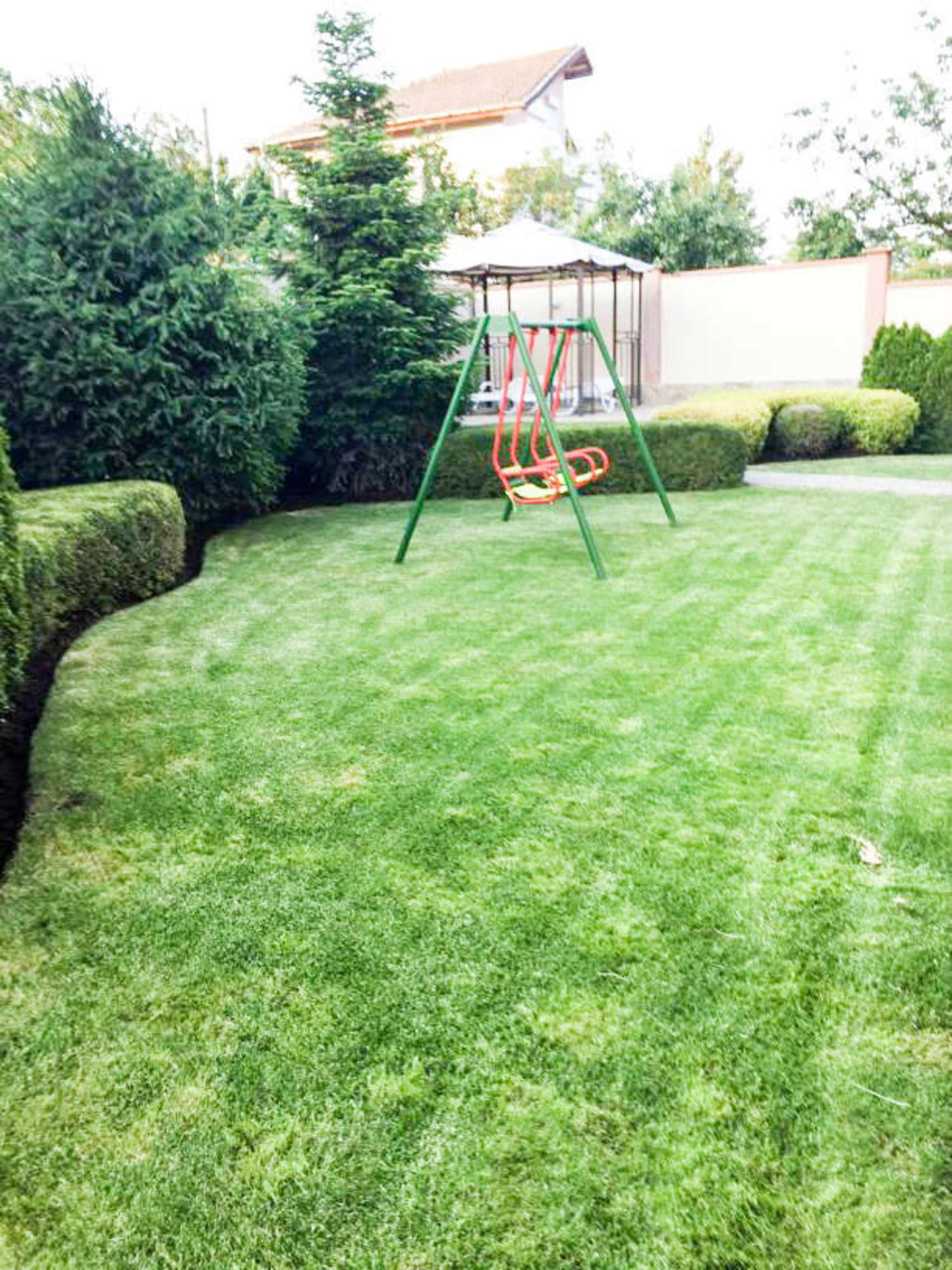 garden, green area