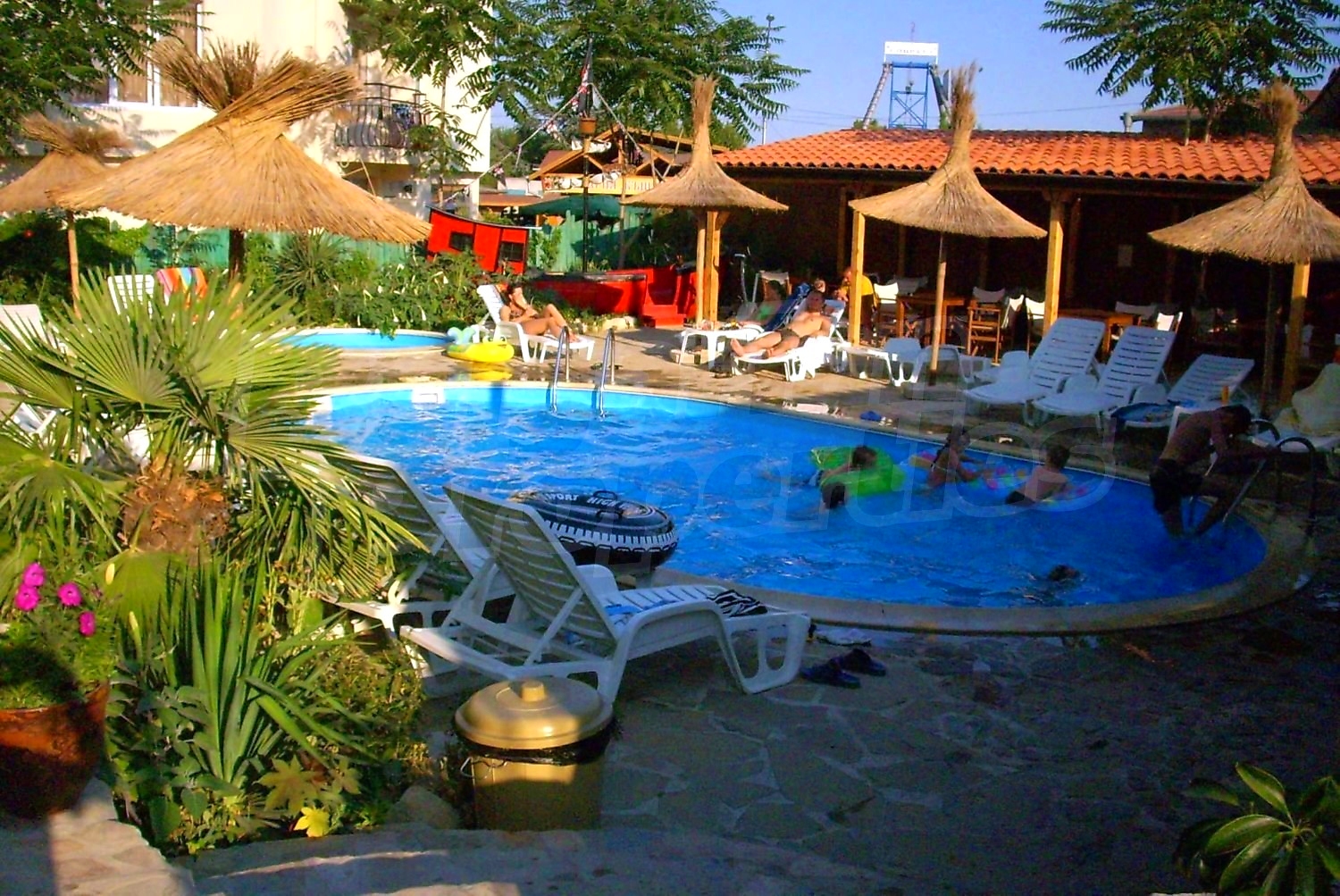 outside, garden, pool