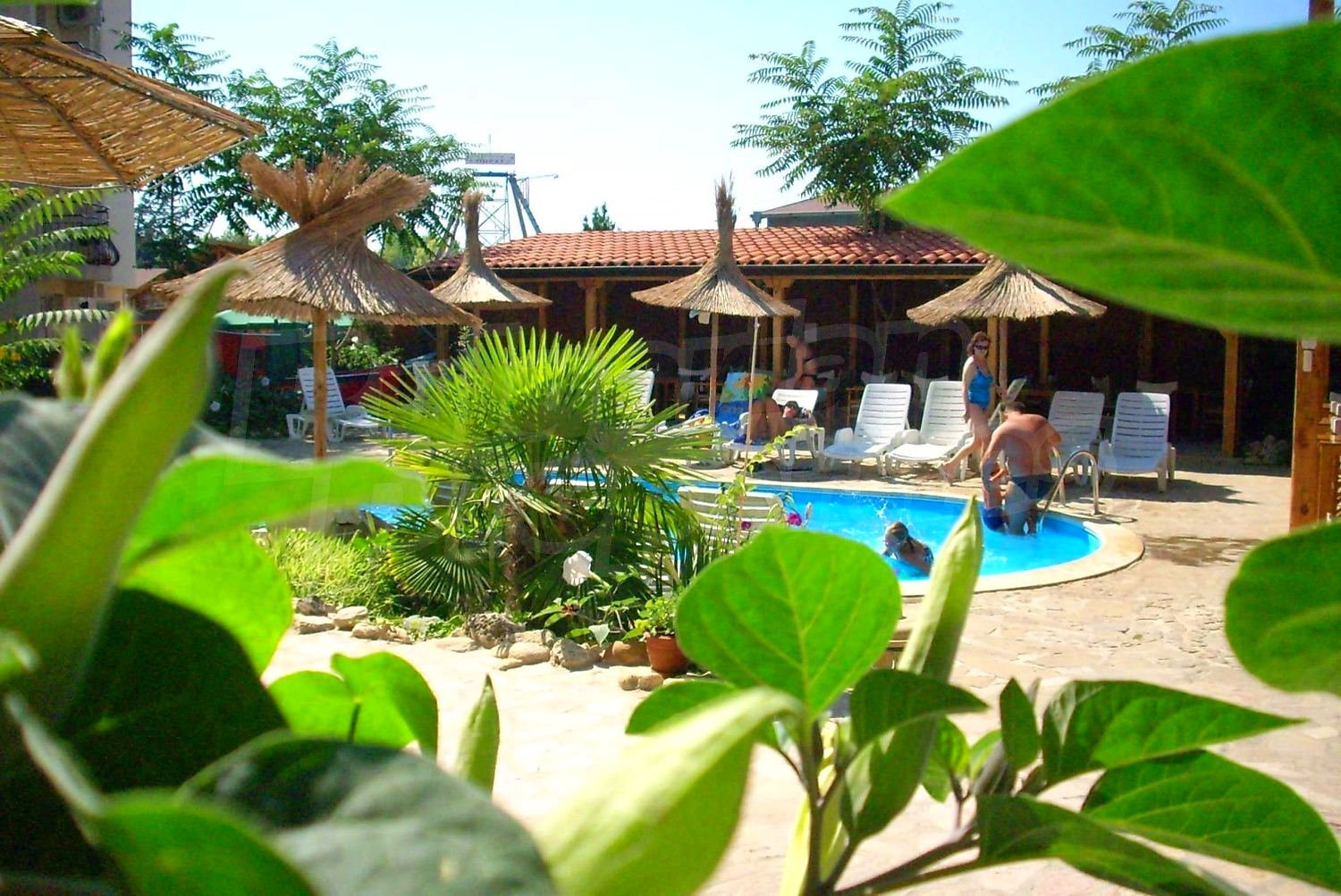 outside, pool, garden