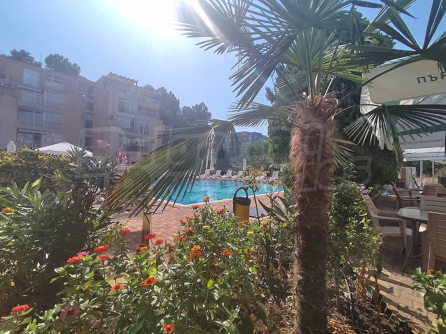 outside, pool, garden