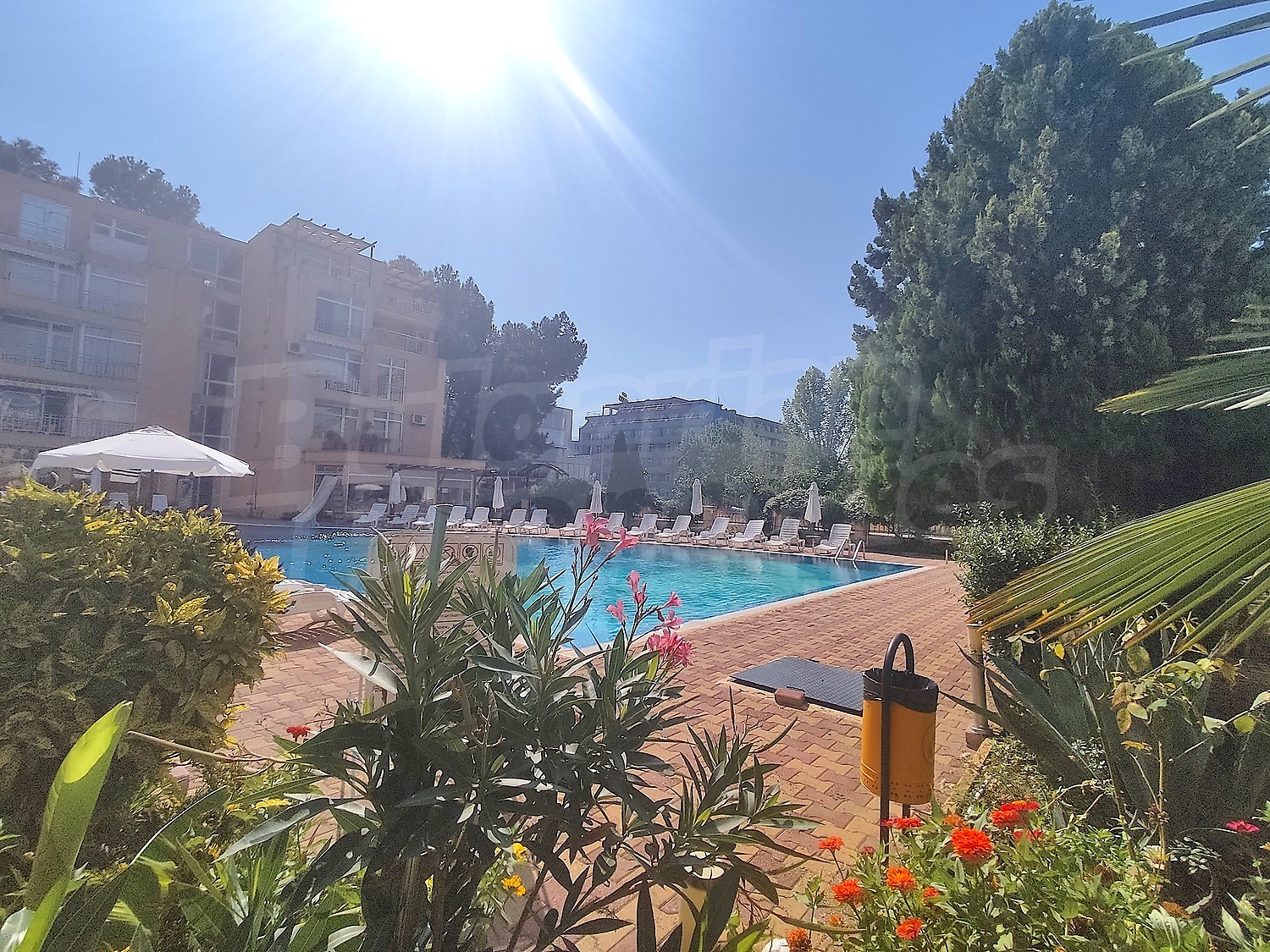 outside, pool, garden