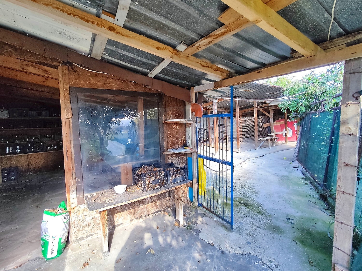 outside, garden