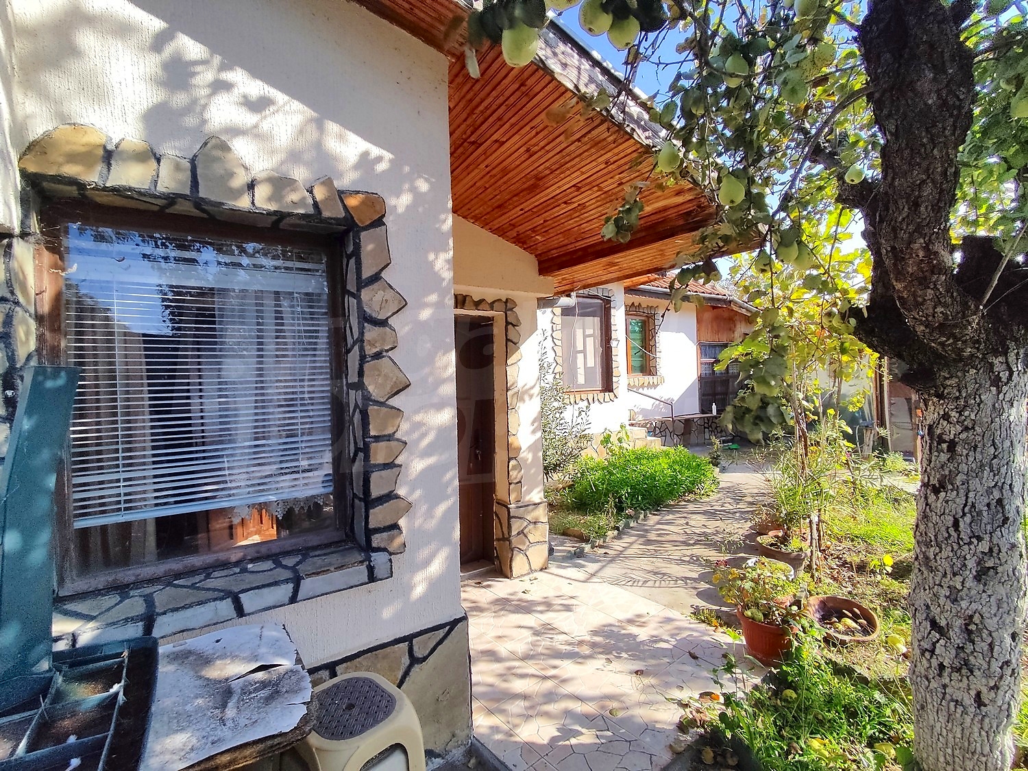 outside, garden