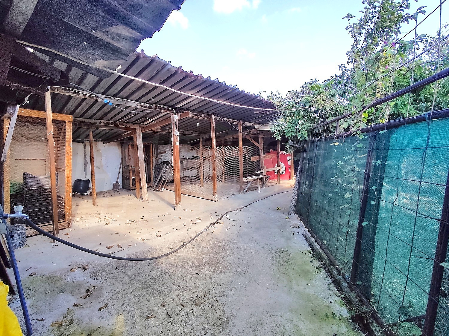 outside, garden
