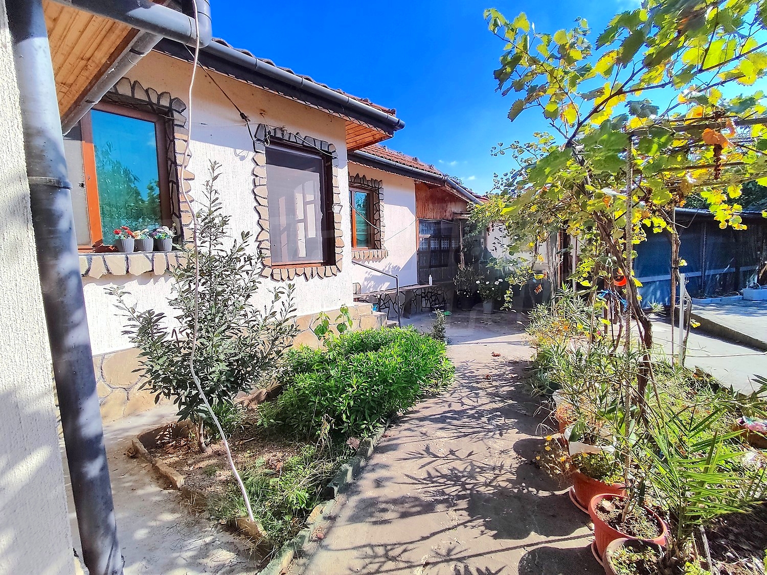 outside, garden