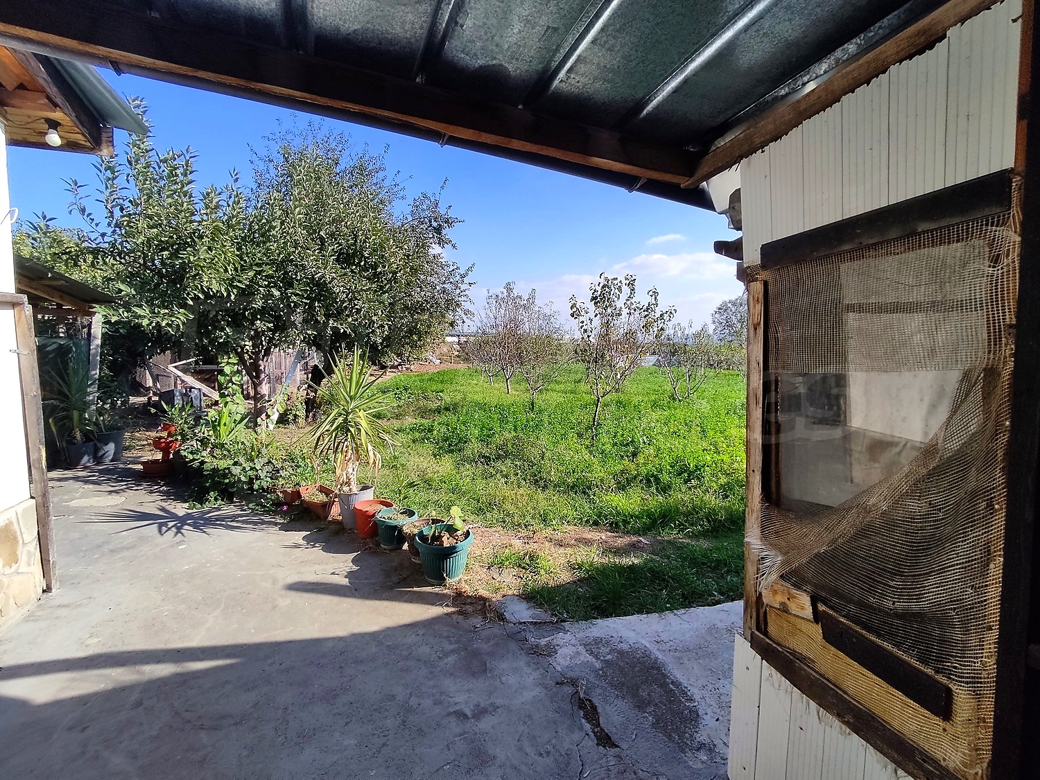 outside, garden, green area