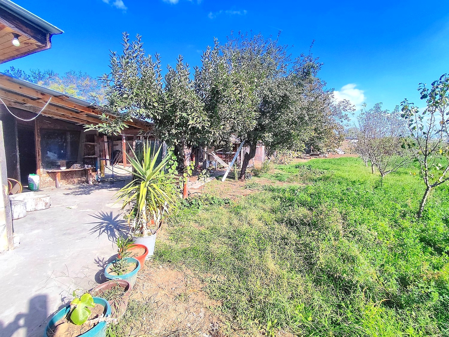 outside, garden