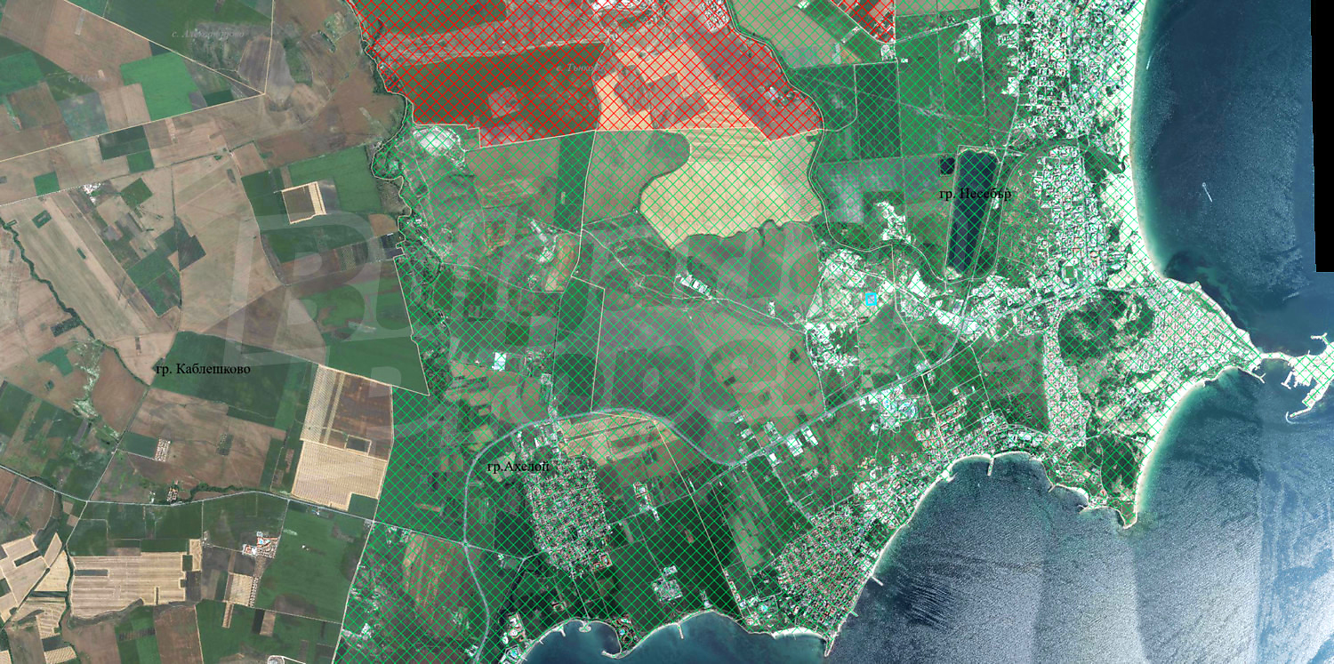 outside, sea, green area