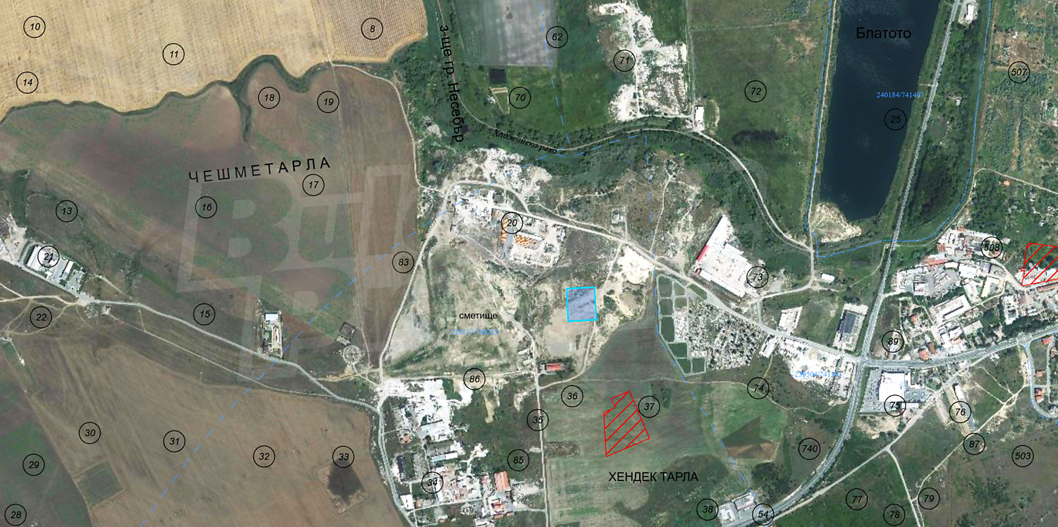 outside, green area