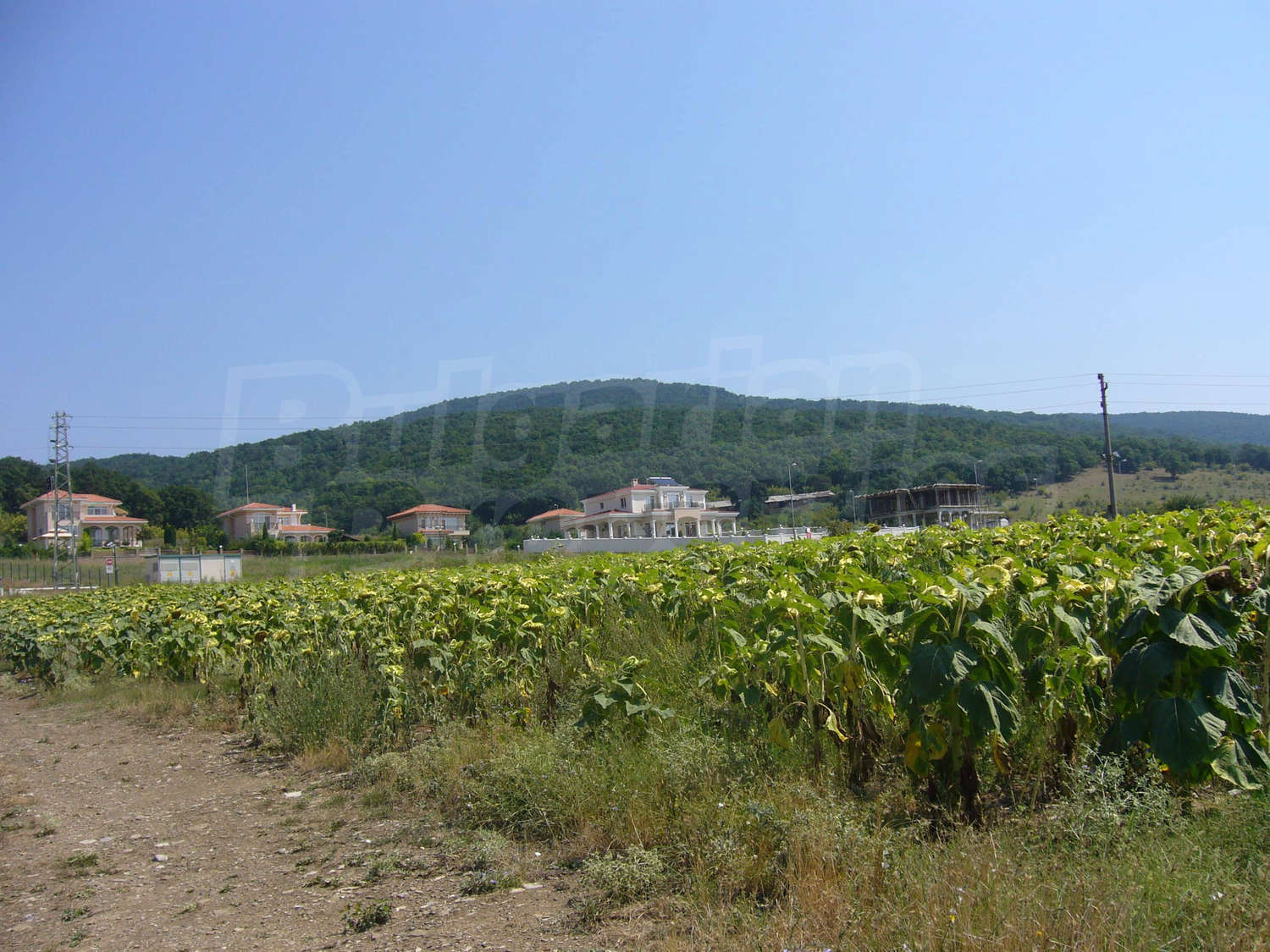 outside, mountain, green area
