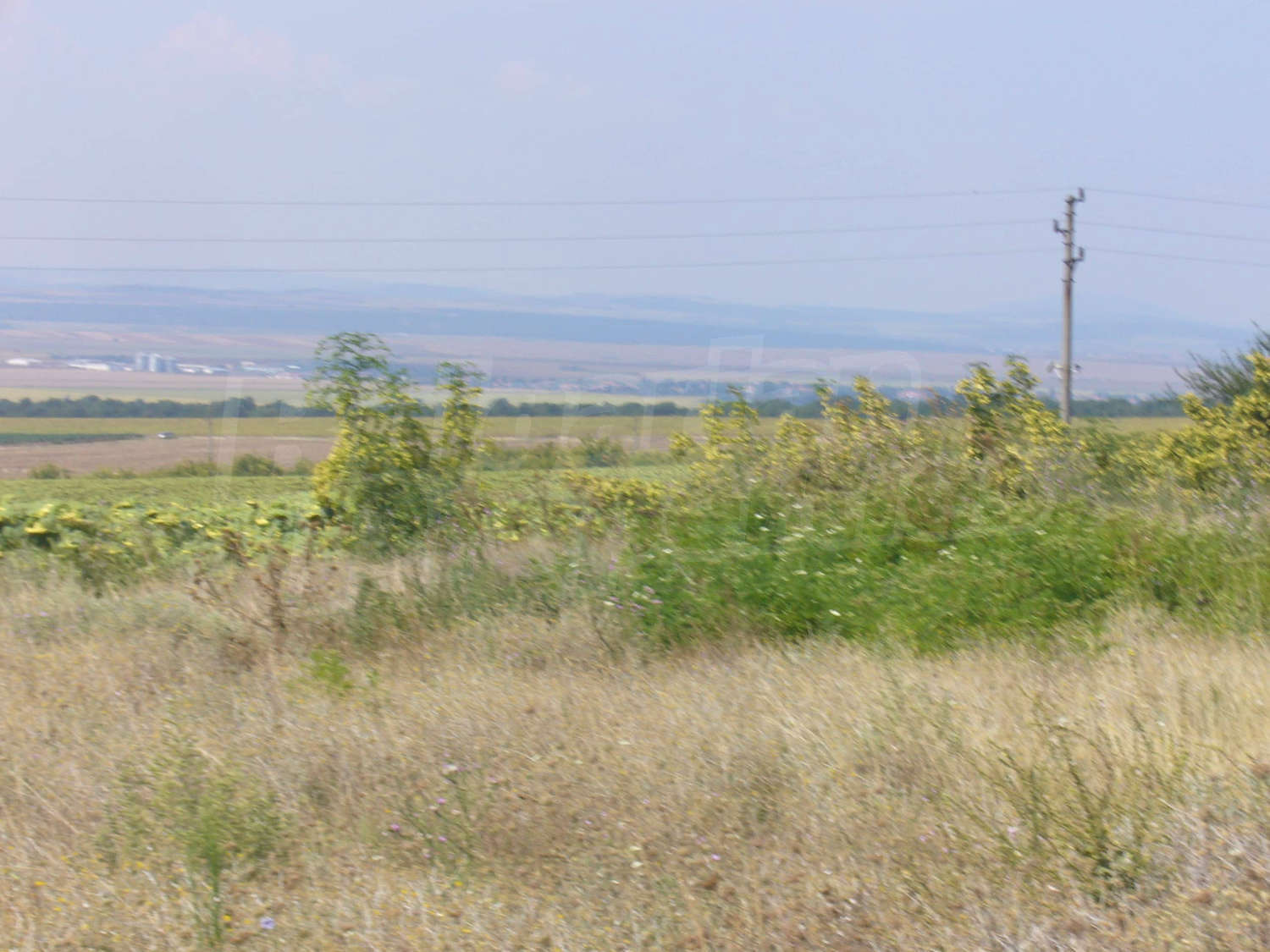 outside, green area