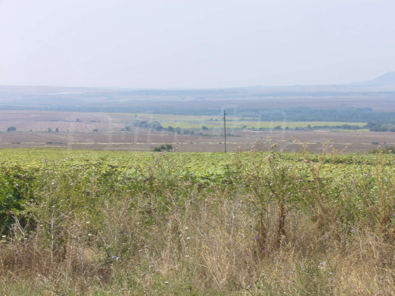 outside, mountain, green area