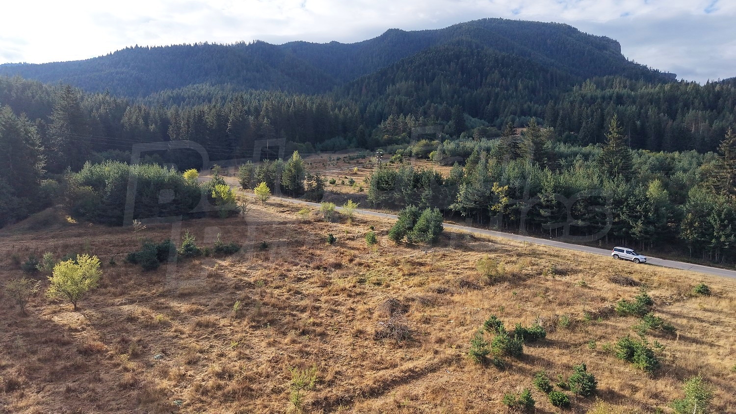 outside, mountain, green area