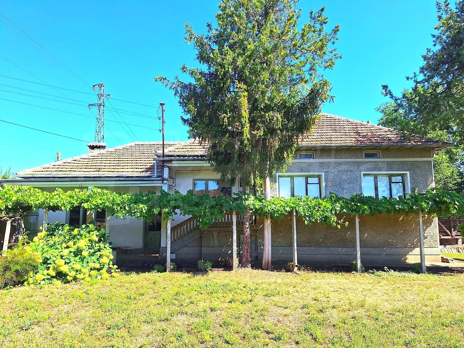 outside, facade, garden